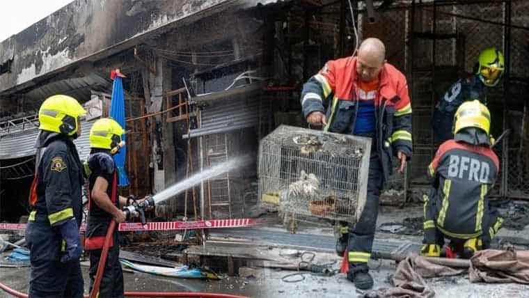 A fire in the bird market of Bangkok, 1000 precious and rare animals died