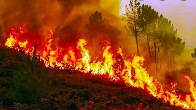 India: 4 officials of the forest department were killed in a fire in the forests of Uttarakhand