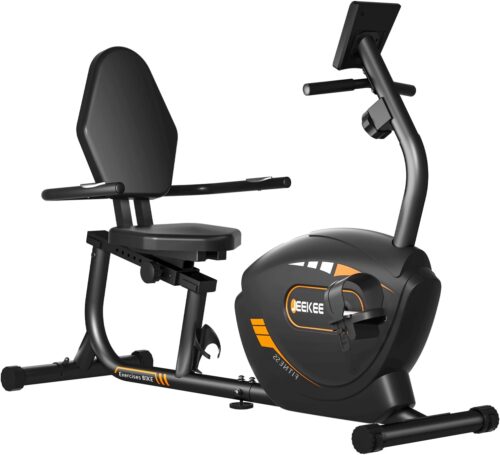 JEEKEE Recumbent Exercise Bike for Seniors, Stationary Bikes for Home, 300LB Capacity & 16 Levels Magnetic Resistance