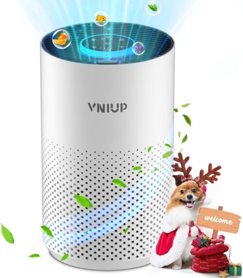 Air Purifiers for Bedroom Home up to 1000 ft², Vniup H14 True HEPA Room Air Purifiers for Bedroom
